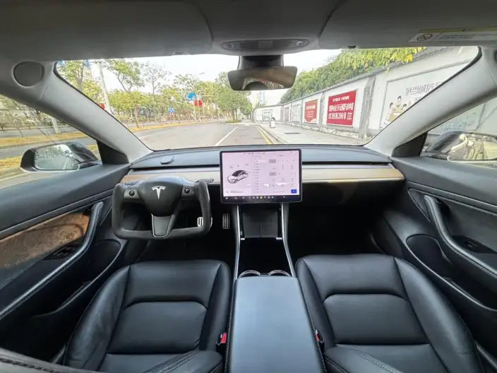 Model 3 2020 Model Long Battery Life Pro Rear-wheel drive version – фото 7