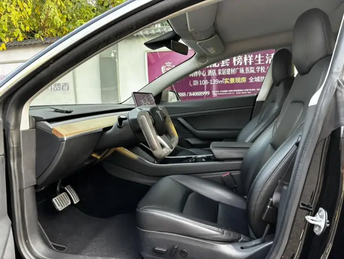 Model 3 2020 Model Long Battery Life Pro Rear-wheel drive version – фото 8