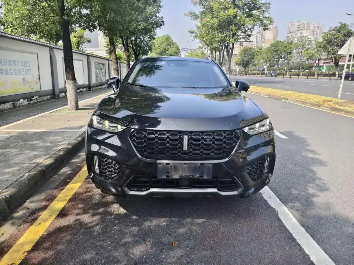 WEY VV7 2020 Model 2.0T Flagship Model – фото 2