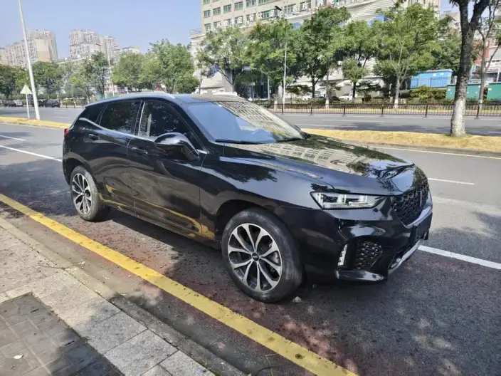 WEY VV7 2020 Model 2.0T Flagship Model – фото 3