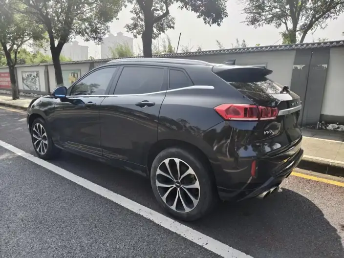 WEY VV7 2020 Model 2.0T Flagship Model – фото 4