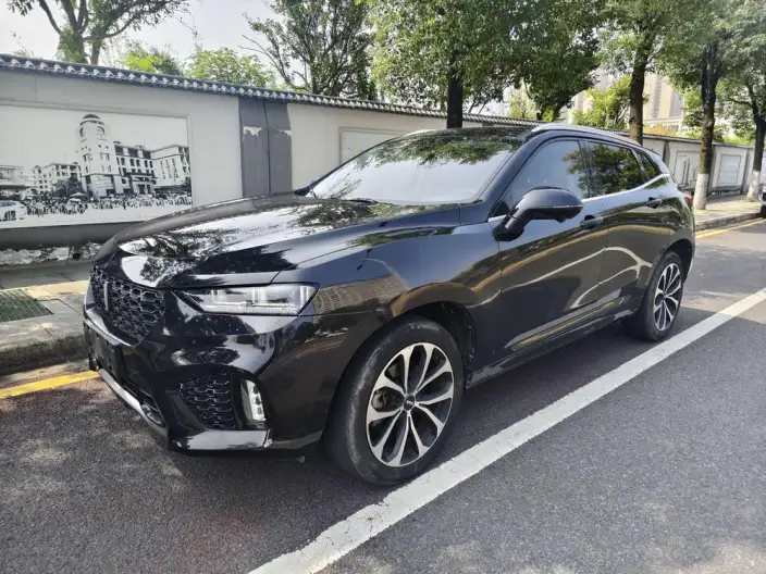 WEY VV7 2020 Model 2.0T Flagship Model – фото 10