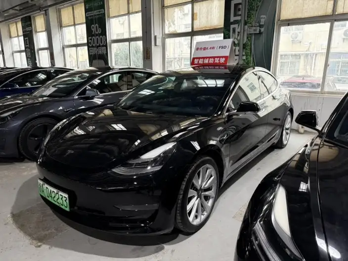 Model 3 2020 Model Long Battery Life Pro Rear-wheel drive version