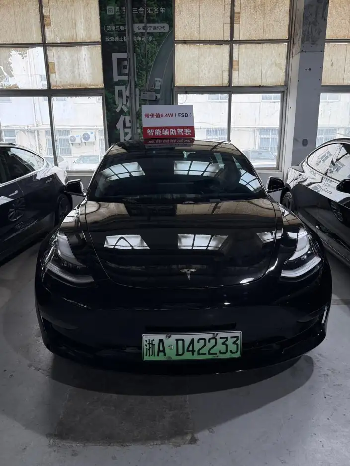 Model 3 2020 Model Long Battery Life Pro Rear-wheel drive version
