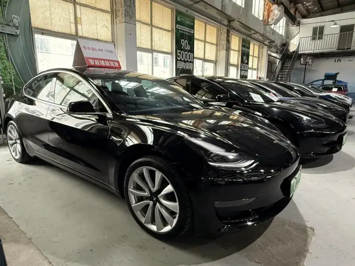 Model 3 2020 Model Long Battery Life Pro Rear-wheel drive version