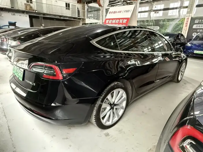 Model 3 2020 Model Long Battery Life Pro Rear-wheel drive version