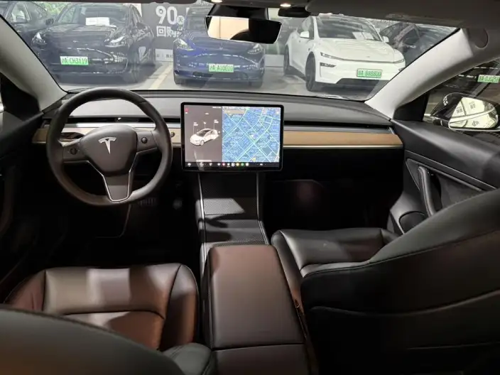 Model 3 2020 Model Long Battery Life Pro Rear-wheel drive version – фото 7