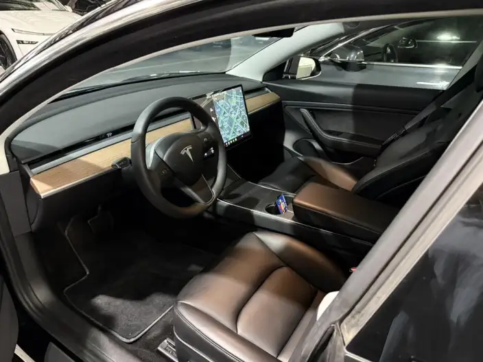 Model 3 2020 Model Long Battery Life Pro Rear-wheel drive version – фото 8
