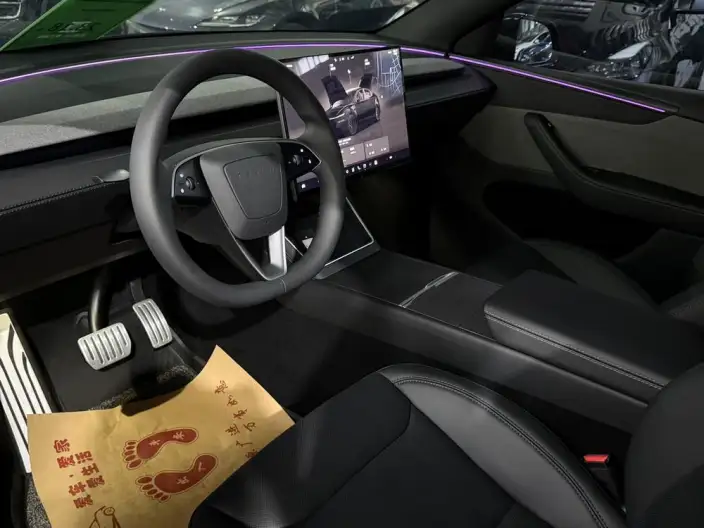 Model 3 2020 Model Long Battery Life Pro Rear-wheel drive version – фото 9
