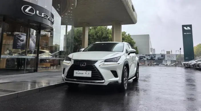 Lexus NX 2020 Model 200 Quan Drive Fengshang Edition China VI – фото 1