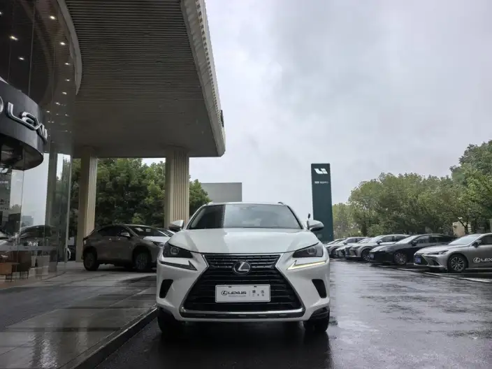 Lexus NX 2020 Model 200 Quan Drive Fengshang Edition China VI – фото 2