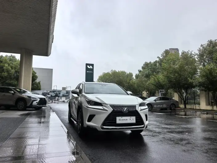 Lexus NX 2020 Model 200 Quan Drive Fengshang Edition China VI – фото 3