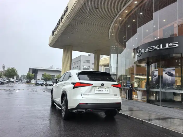 Lexus NX 2020 Model 200 Quan Drive Fengshang Edition China VI – фото 4