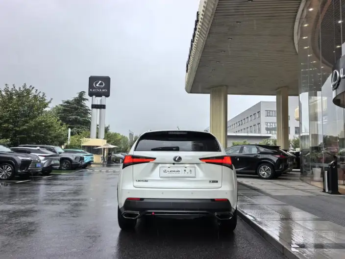 Lexus NX 2020 Model 200 Quan Drive Fengshang Edition China VI – фото 5