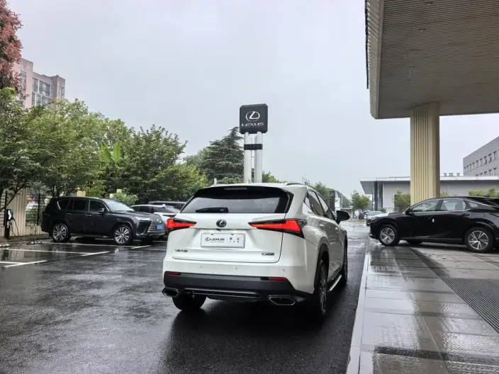 Lexus NX 2020 Model 200 Quan Drive Fengshang Edition China VI – фото 6