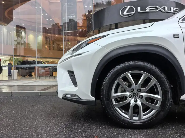 Lexus NX 2020 Model 200 Quan Drive Fengshang Edition China VI – фото 7