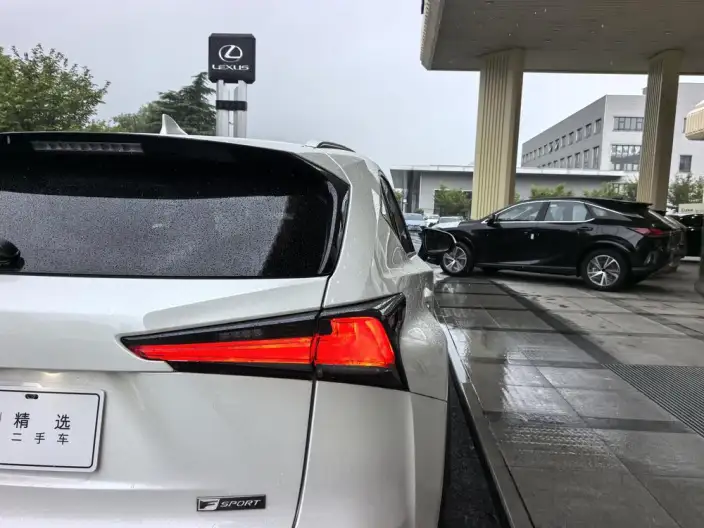 Lexus NX 2020 Model 200 Quan Drive Fengshang Edition China VI – фото 8