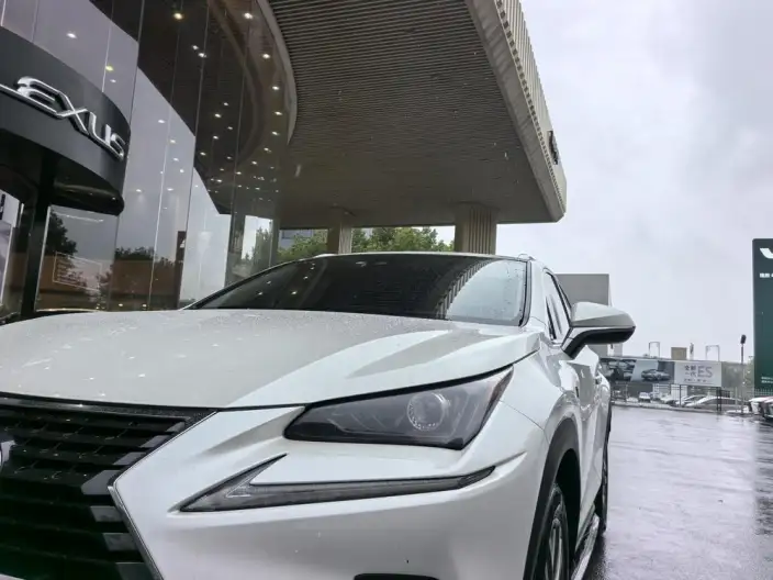 Lexus NX 2020 Model 200 Quan Drive Fengshang Edition China VI – фото 9