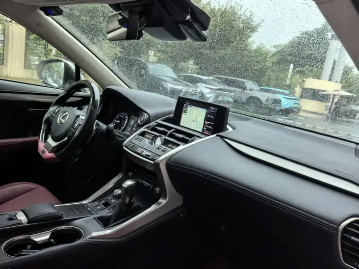 Lexus NX 2020 Model 200 Quan Drive Fengshang Edition China VI – фото 10