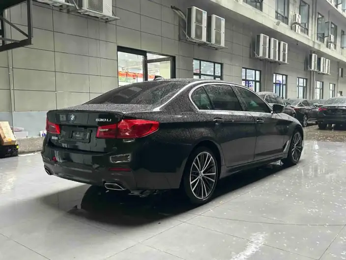 BMW 5 Series 2020 Model 530Li Leading Model M Sports Set – фото 4