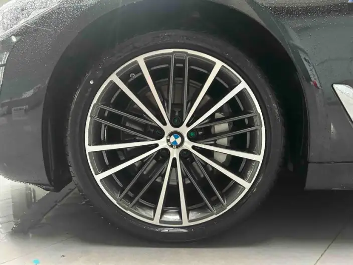 BMW 5 Series 2020 Model 530Li Leading Model M Sports Set – фото 7
