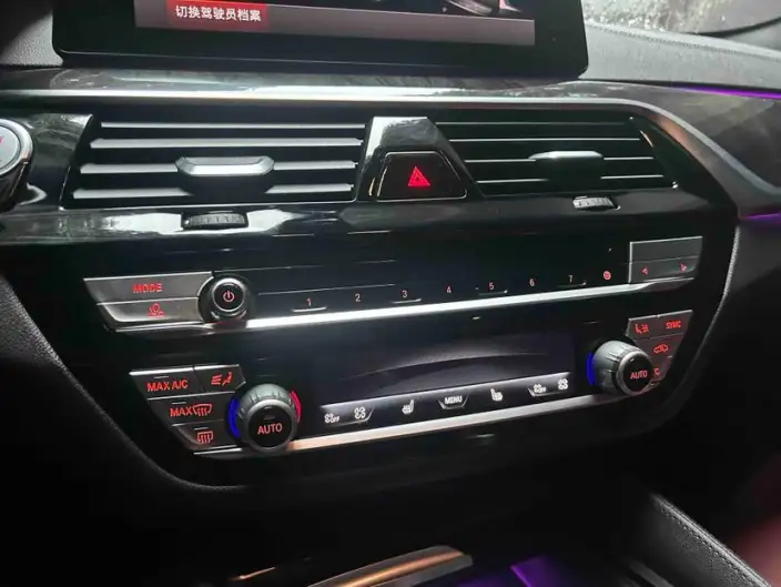 BMW 5 Series 2020 Model 530Li Leading Model M Sports Set – фото 8