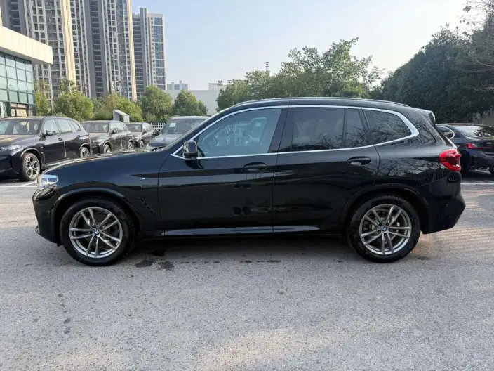 BMW X3 2020 Model xDrive25i M Sports Set – фото 3