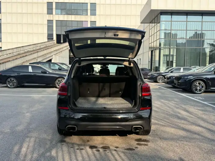 BMW X3 2020 Model xDrive25i M Sports Set – фото 9