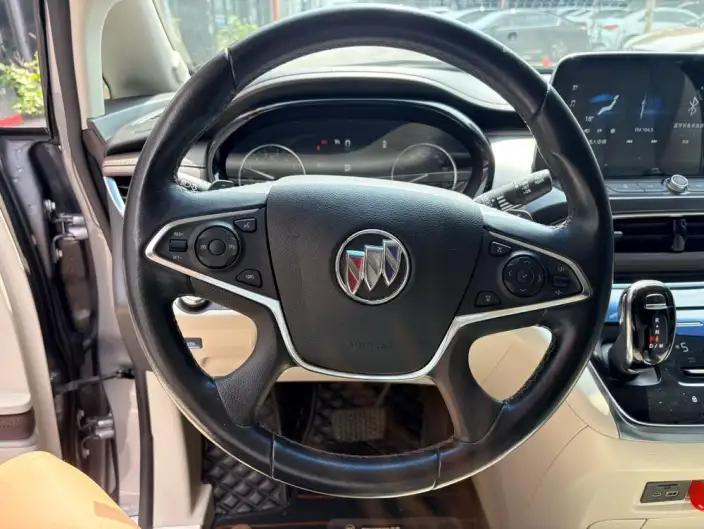 Buick GL8 2021 Model Facelift Business class 652T Noble Model – фото 9