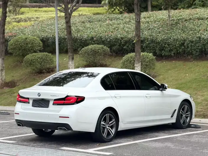 BMW 5 Series 2022 Model 525Li M Sports Set – фото 6