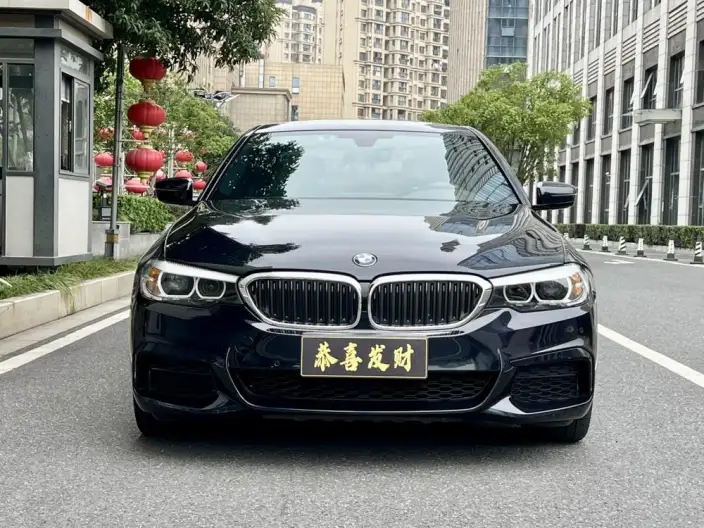 BMW 5 Series 2020 Model 525Li M Sports Set – фото 2