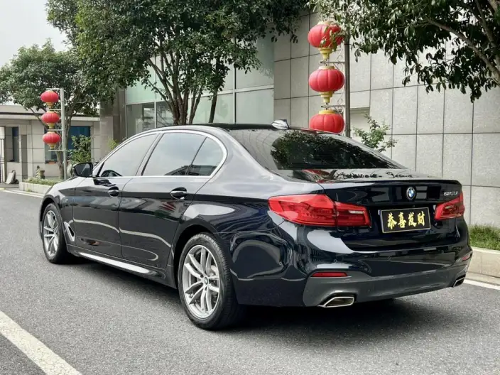 BMW 5 Series 2020 Model 525Li M Sports Set – фото 5