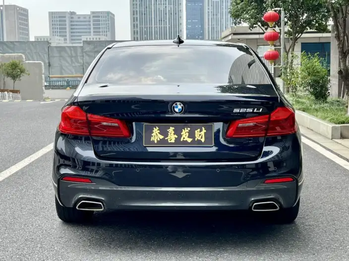 BMW 5 Series 2020 Model 525Li M Sports Set – фото 6