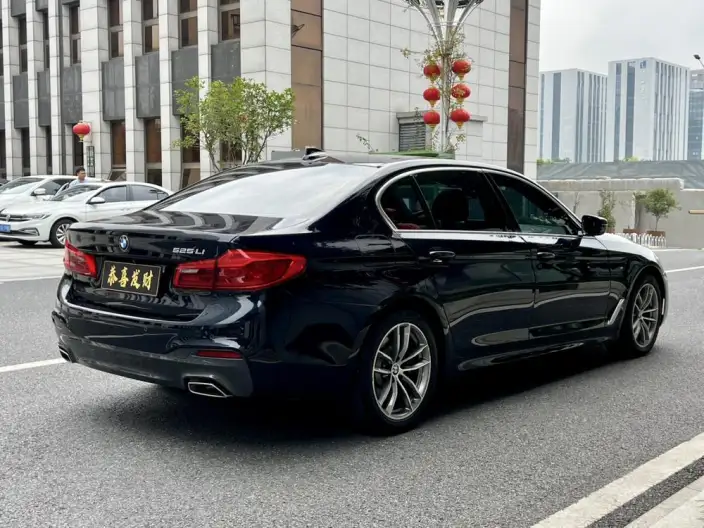 BMW 5 Series 2020 Model 525Li M Sports Set – фото 7