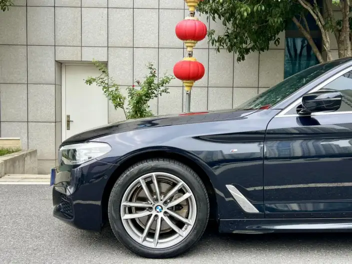 BMW 5 Series 2020 Model 525Li M Sports Set – фото 8