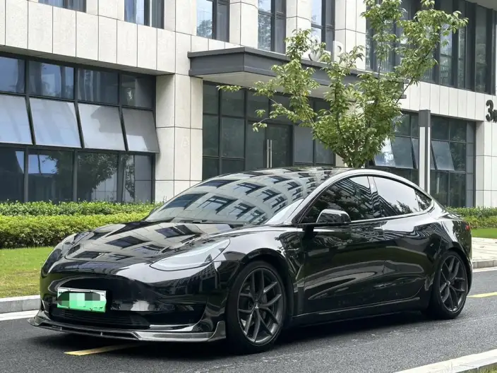 Model 3 2020 Model Facelift Standard Battery Life Rear Drive L Class Edition – фото 1