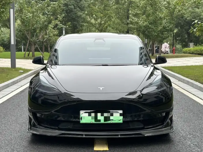 Model 3 2020 Model Facelift Standard Battery Life Rear Drive L Class Edition – фото 2
