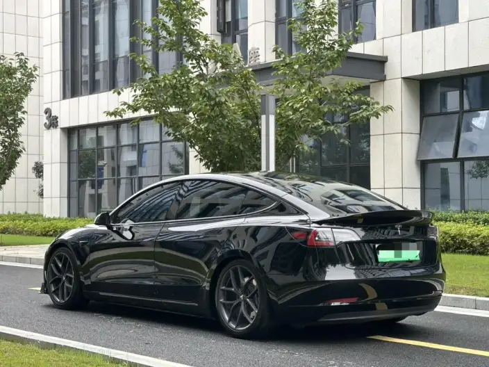 Model 3 2020 Model Facelift Standard Battery Life Rear Drive L Class Edition – фото 5