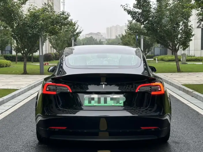 Model 3 2020 Model Facelift Standard Battery Life Rear Drive L Class Edition – фото 6