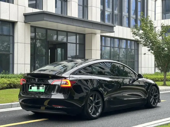 Model 3 2020 Model Facelift Standard Battery Life Rear Drive L Class Edition – фото 7