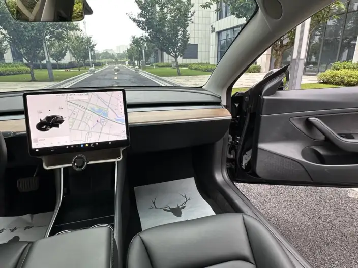 Model 3 2020 Model Facelift Standard Battery Life Rear Drive L Class Edition – фото 9