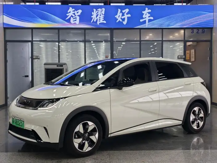BYD Dolphin 2024 Model Honor Edition 420km Free Edition – фото 1