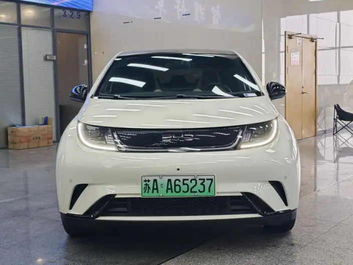BYD Dolphin 2024 Model Honor Edition 420km Free Edition – фото 2