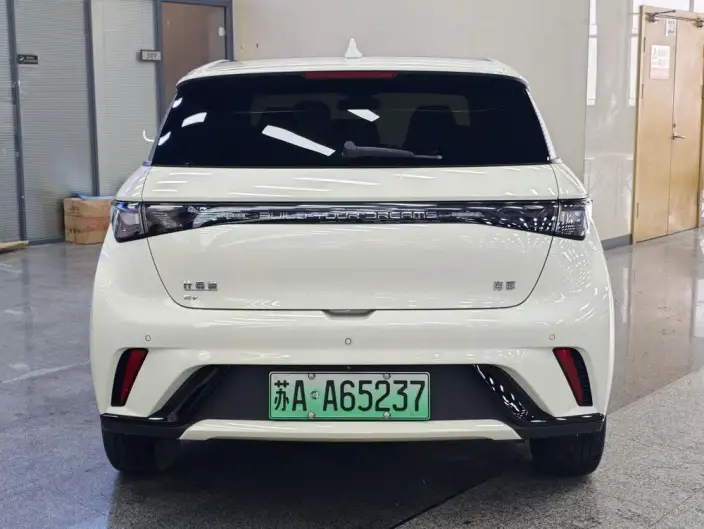 BYD Dolphin 2024 Model Honor Edition 420km Free Edition – фото 3
