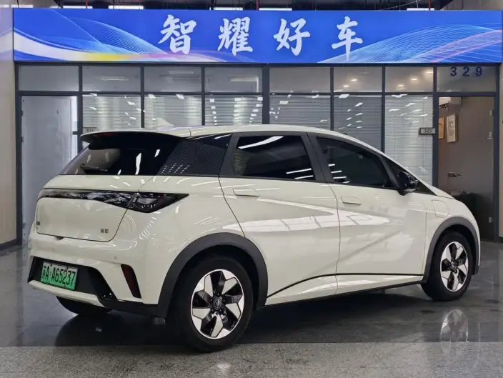 BYD Dolphin 2024 Model Honor Edition 420km Free Edition – фото 4