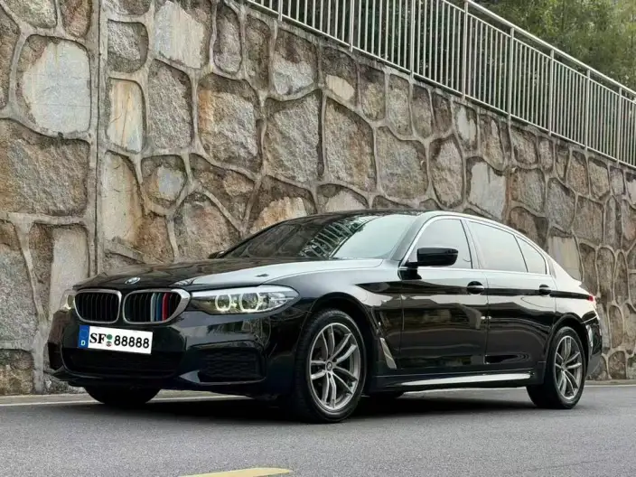 BMW 5 Series 2020 Model 525Li M Sports Set – фото 1