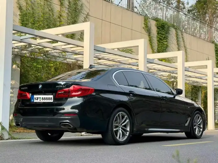BMW 5 Series 2020 Model 525Li M Sports Set – фото 6
