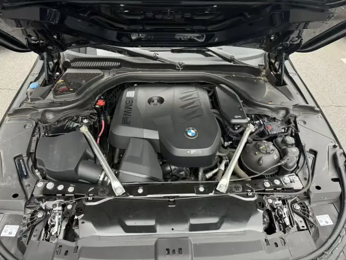 BMW 5 Series 2025 Model 530Li Exclusive Model M Sports Set – фото 6