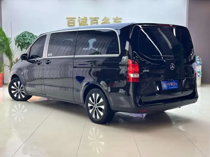 Viano 2021 Model 2.0T Business Edition 9 seat – фото 3