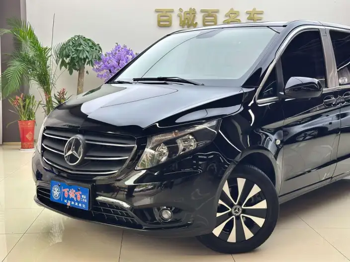 Viano 2021 Model 2.0T Business Edition 9 seat – фото 6